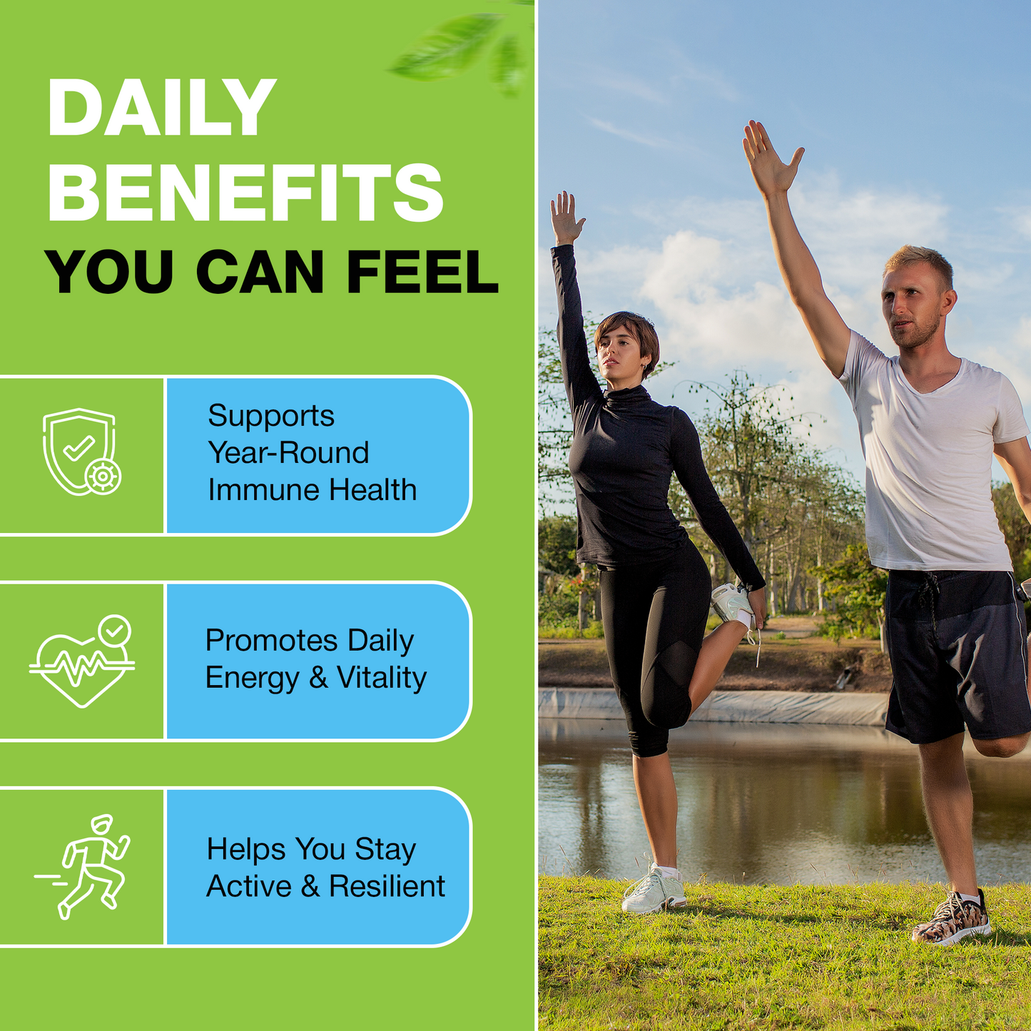 10 in 1 Immune System Defense and Support Supplement